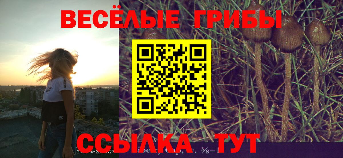 Галлюциногенные грибы мицелий  Вход с VPN  как найти наркотики  Зеленогорск 